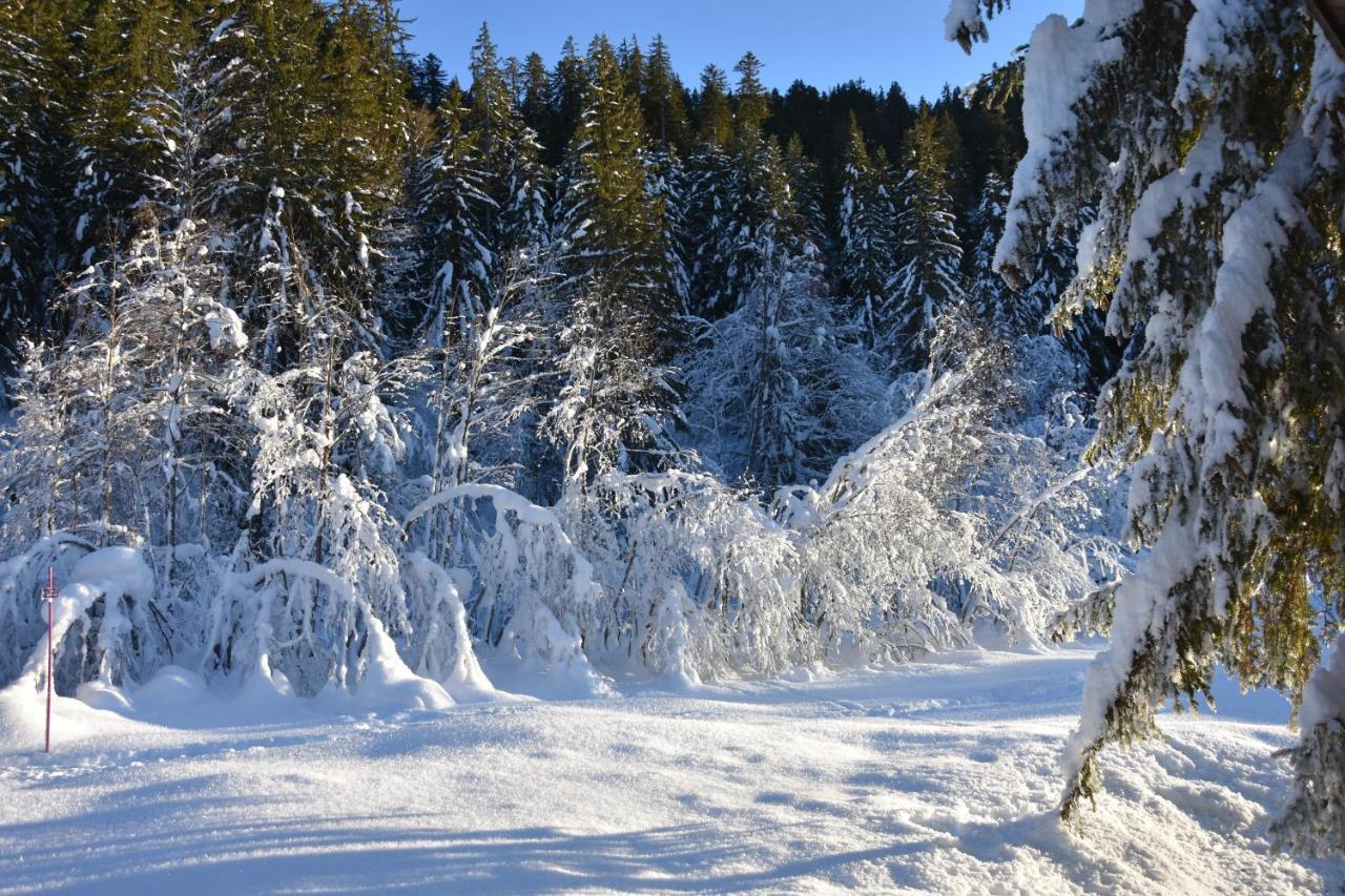 Chalet L'Armoy La Giettaz Esterno foto