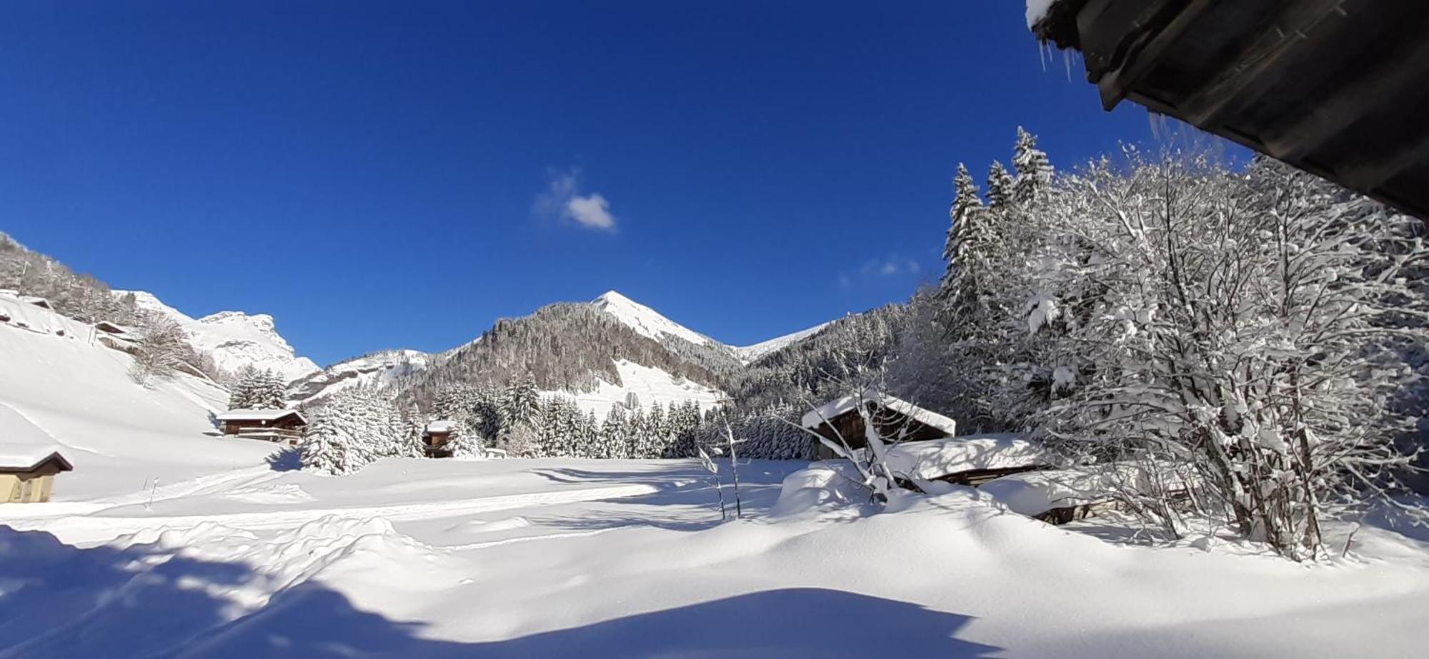 Chalet L'Armoy La Giettaz Esterno foto